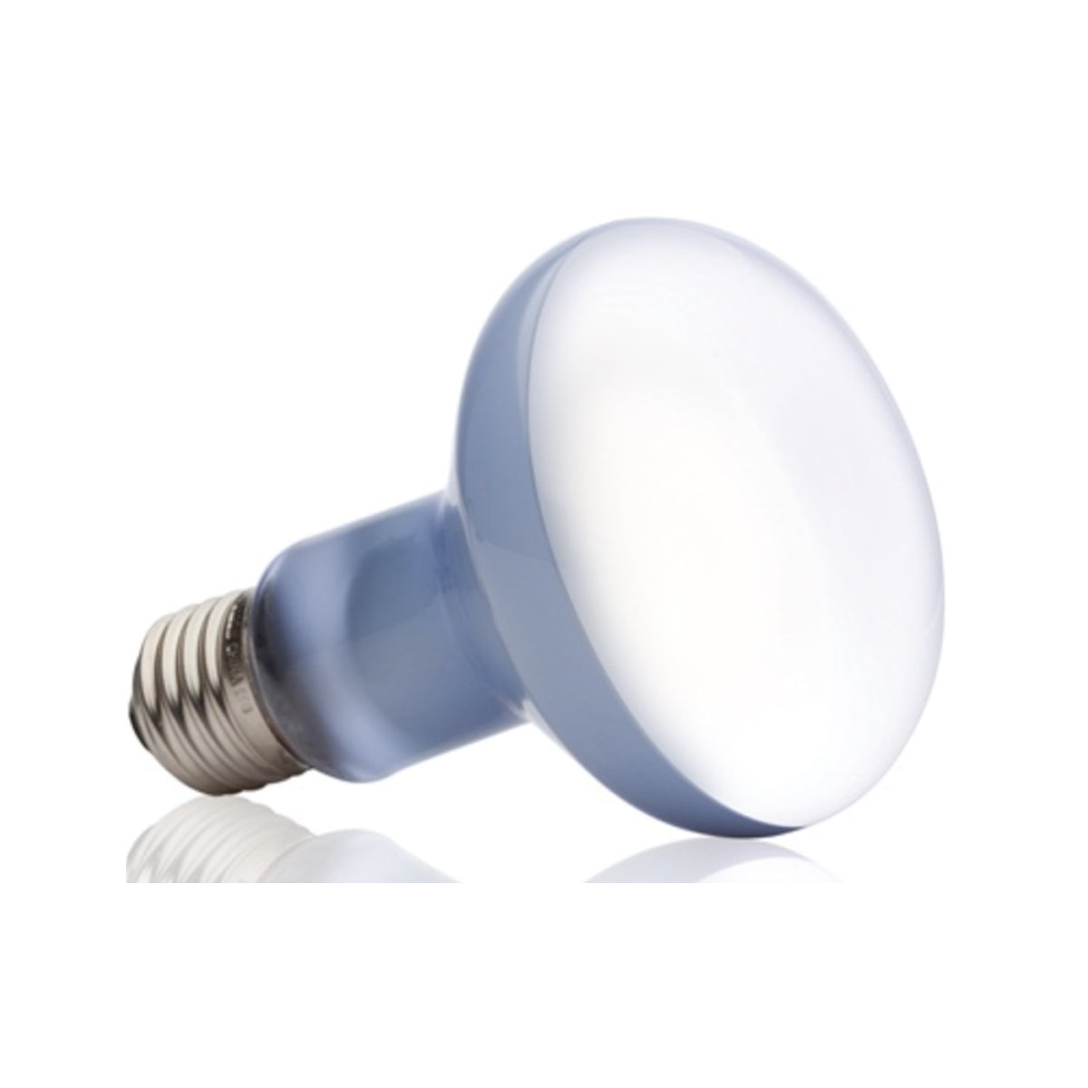 Exo Terra Daylight Basking Spot Lamp 100w