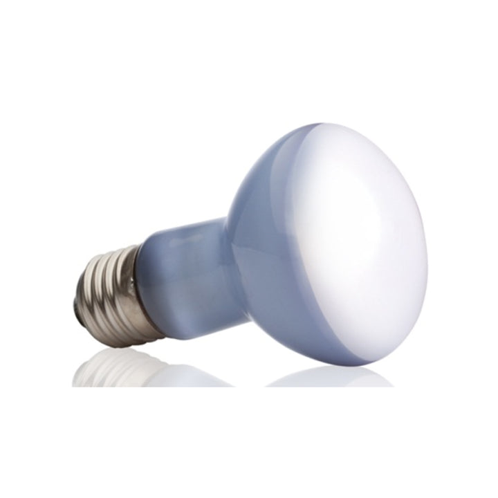 Exo Terra Daylight Basking Spot Lamp 75w
