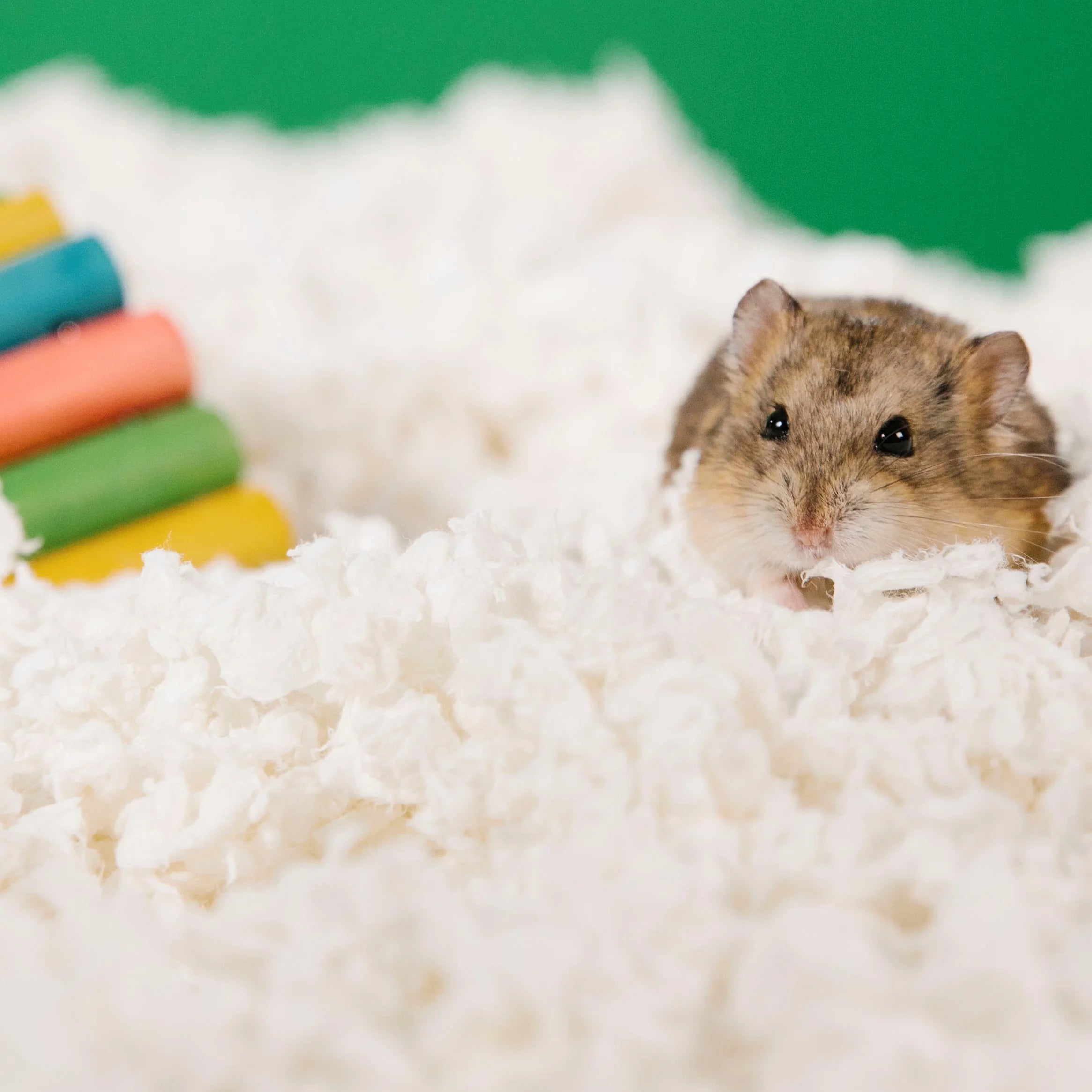 Carefresh® Small Pet Paper Bedding White 10L