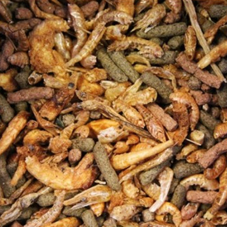 King British Turtle & Terrapin Food