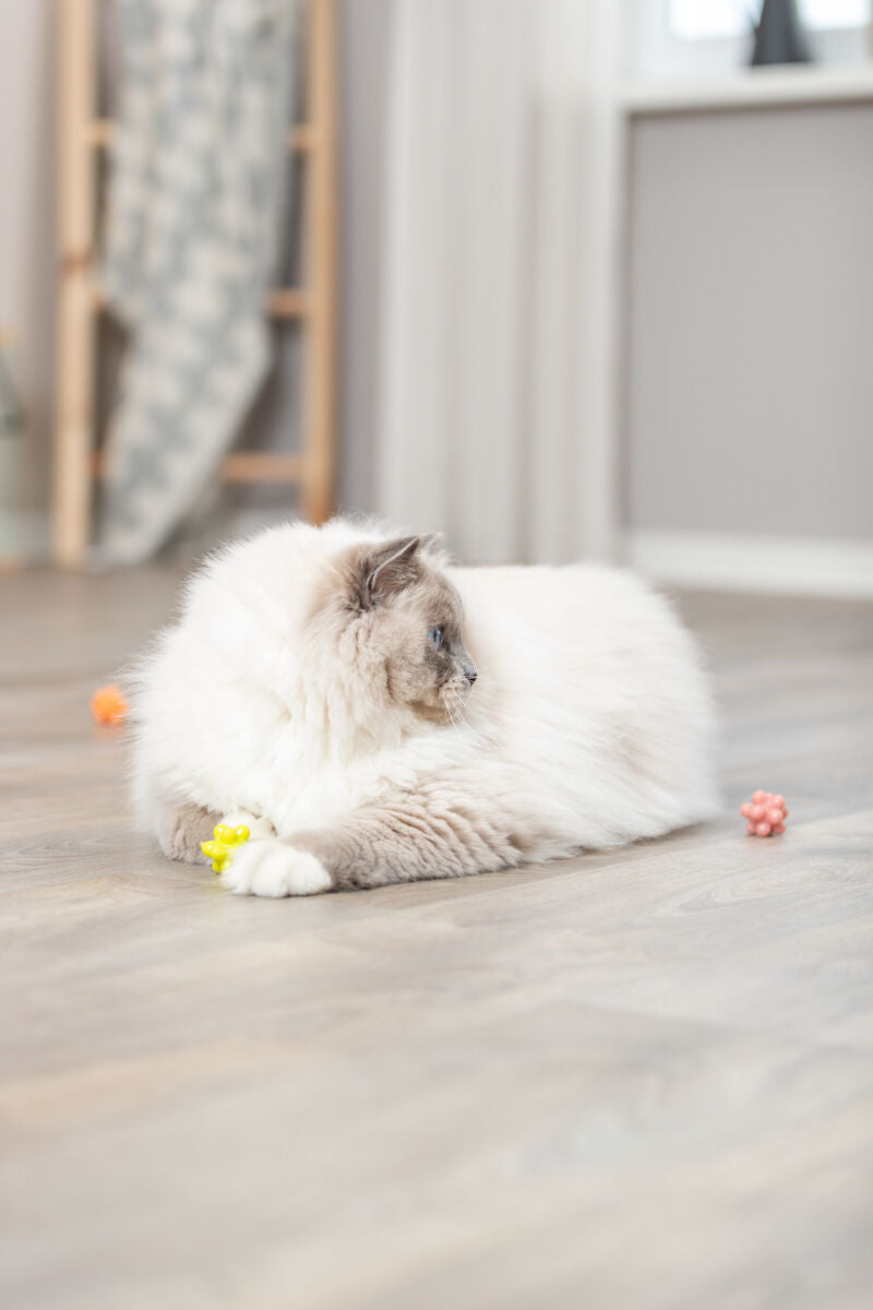 Trixie Set Of Balls With Bumps 4pcs