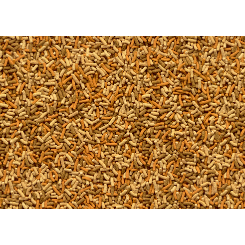 Tetra Pond Variety Sticks