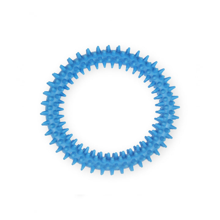 Pet Nova Dental Ring TPR Dog Toy