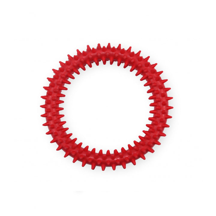 Pet Nova Dental Ring TPR Dog Toy