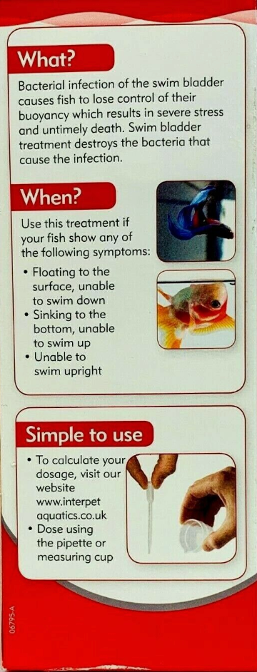 Interpet Swimbladder Treatment 100ml