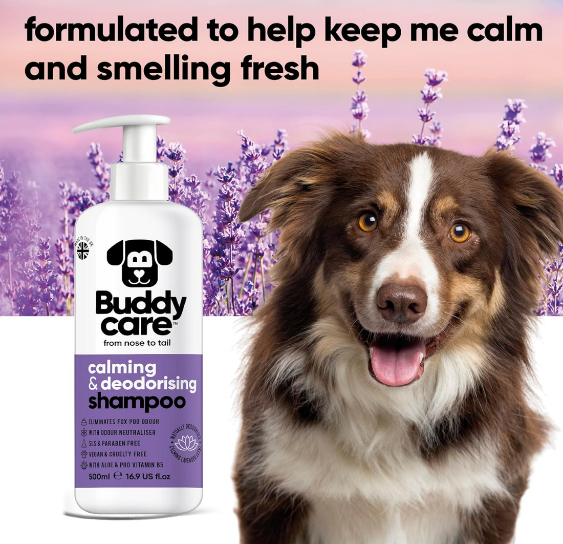 Buddycare Calming & Deodorising Dog Shampoo 500ml