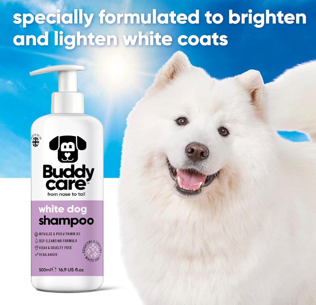 Buddycare White Dog Shampoo 500ml