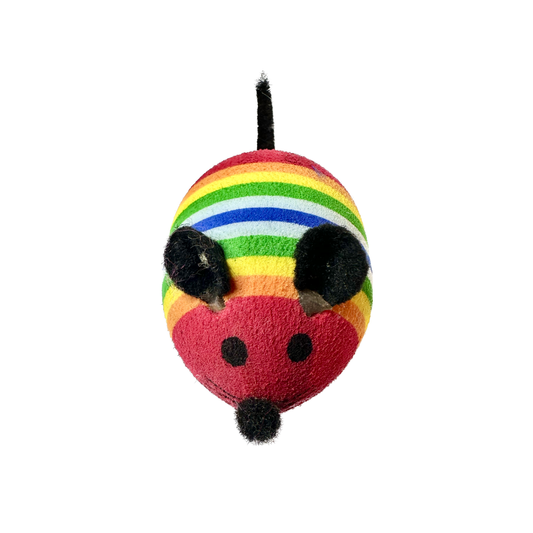 Cat Rainbow Mouse