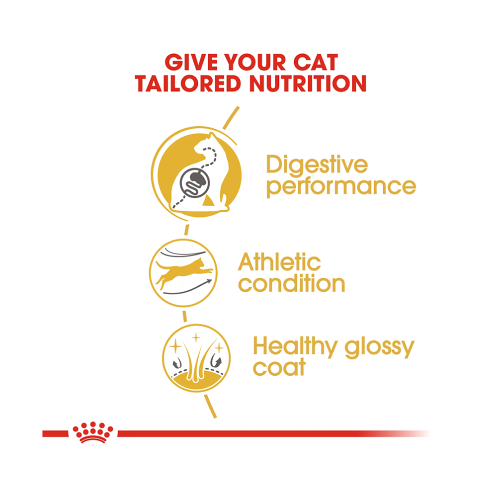 Royal Canin Bengal Adult 2kg