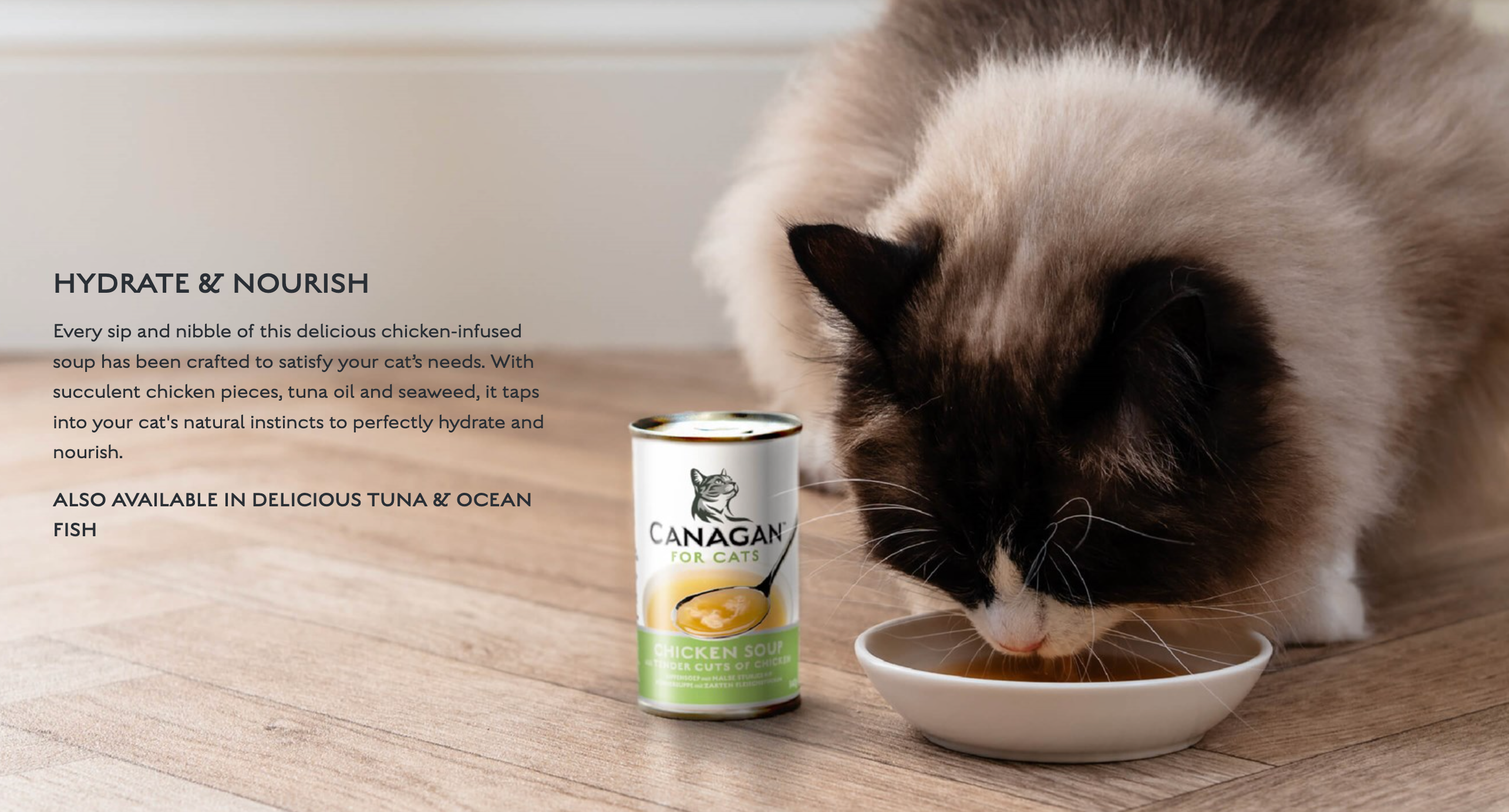 Canagan Chicken Soup 140g For Kittens & Adults