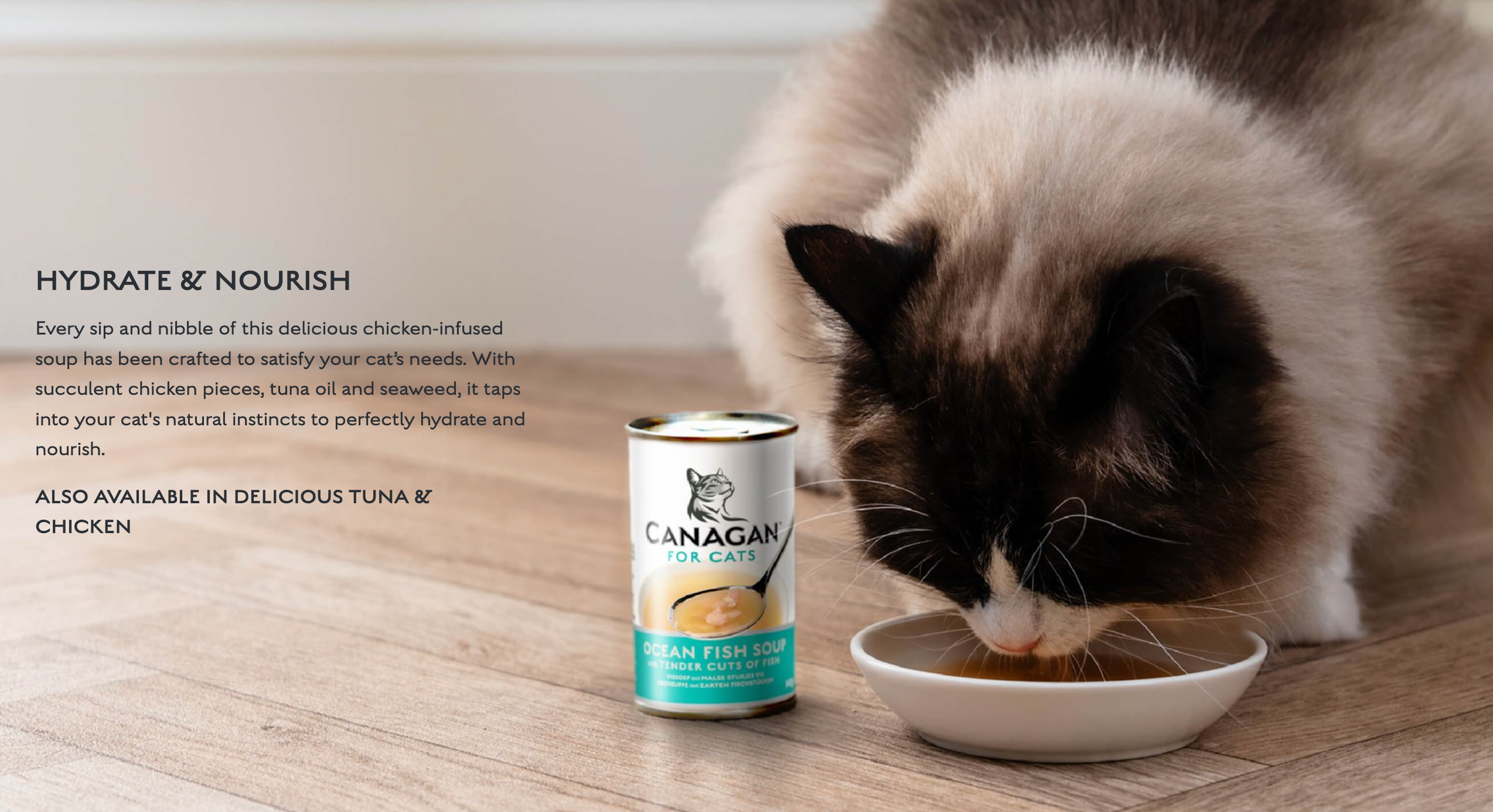 Canagan Ocean Fish Soup 140g For Kittens & Adults