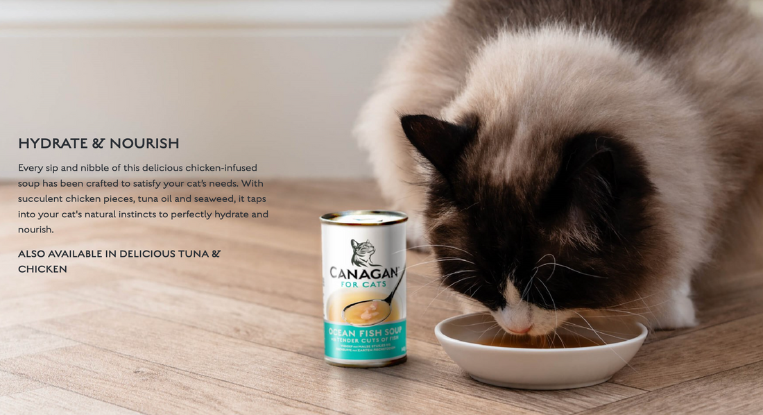 Canagan Ocean Fish Soup 140g For Kittens & Adults
