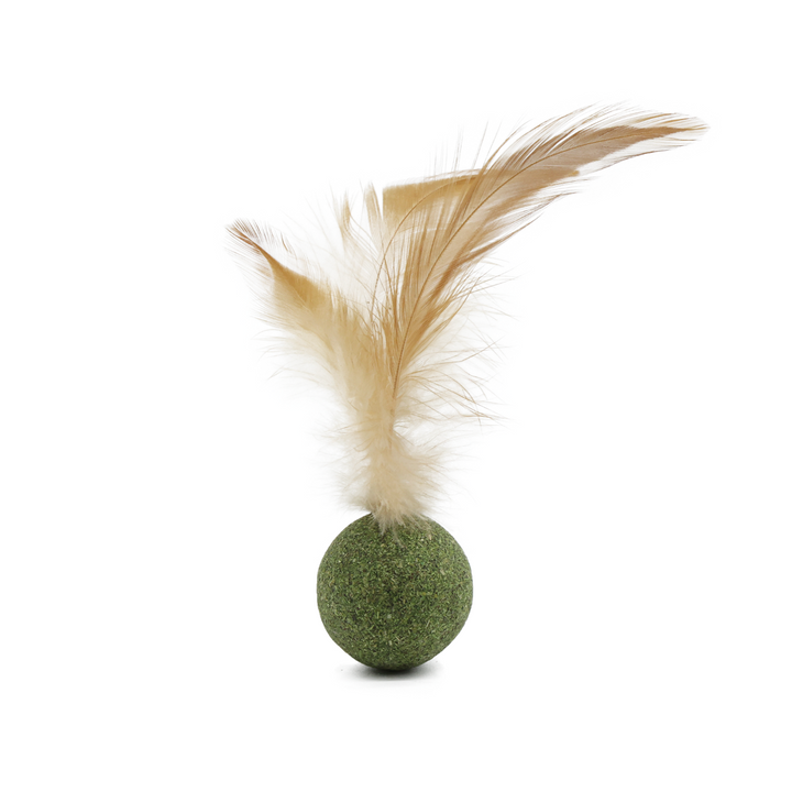 BB Cat Toy Catnip Ball With Feather 15cm*2