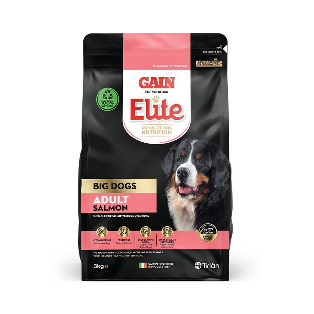 Gain Elite Big Dog Adult Salmon