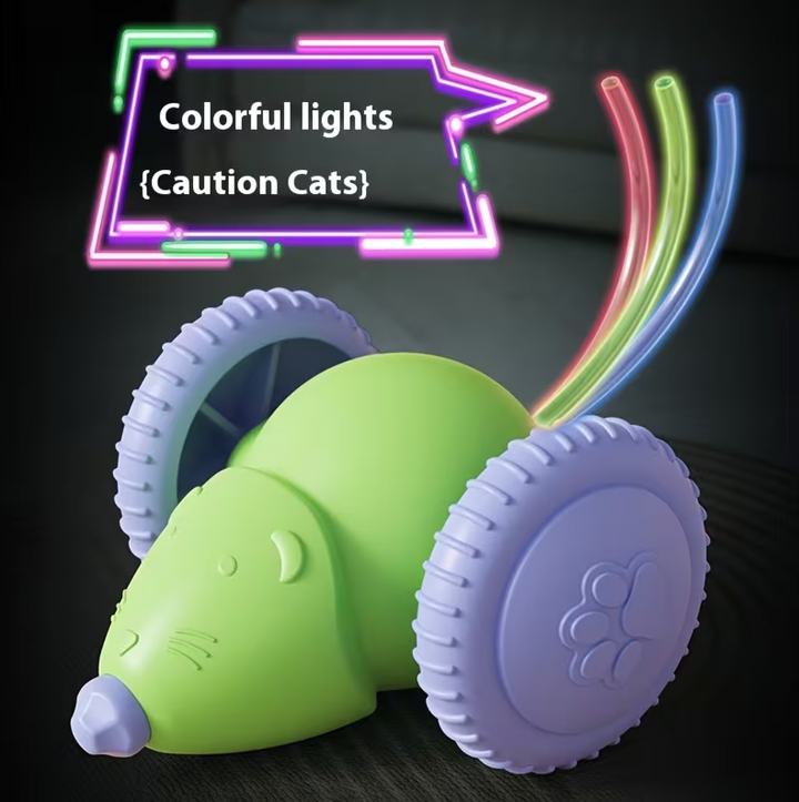 Automatic Electric Mouse & Cat Toy Robot Green
