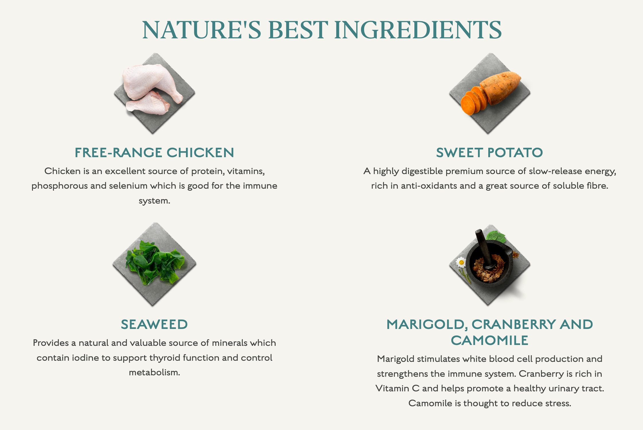 Canagan Dog Free Range Chicken For Puppies & Adults
