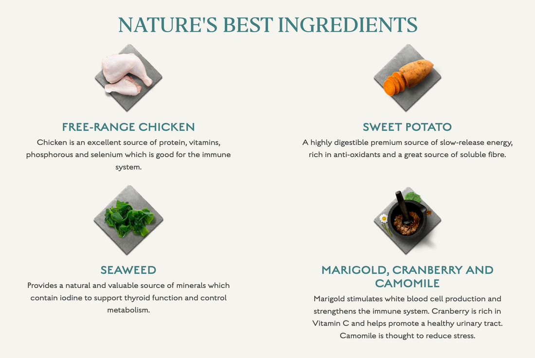 Canagan Dog Free Range Chicken For Puppies & Adults