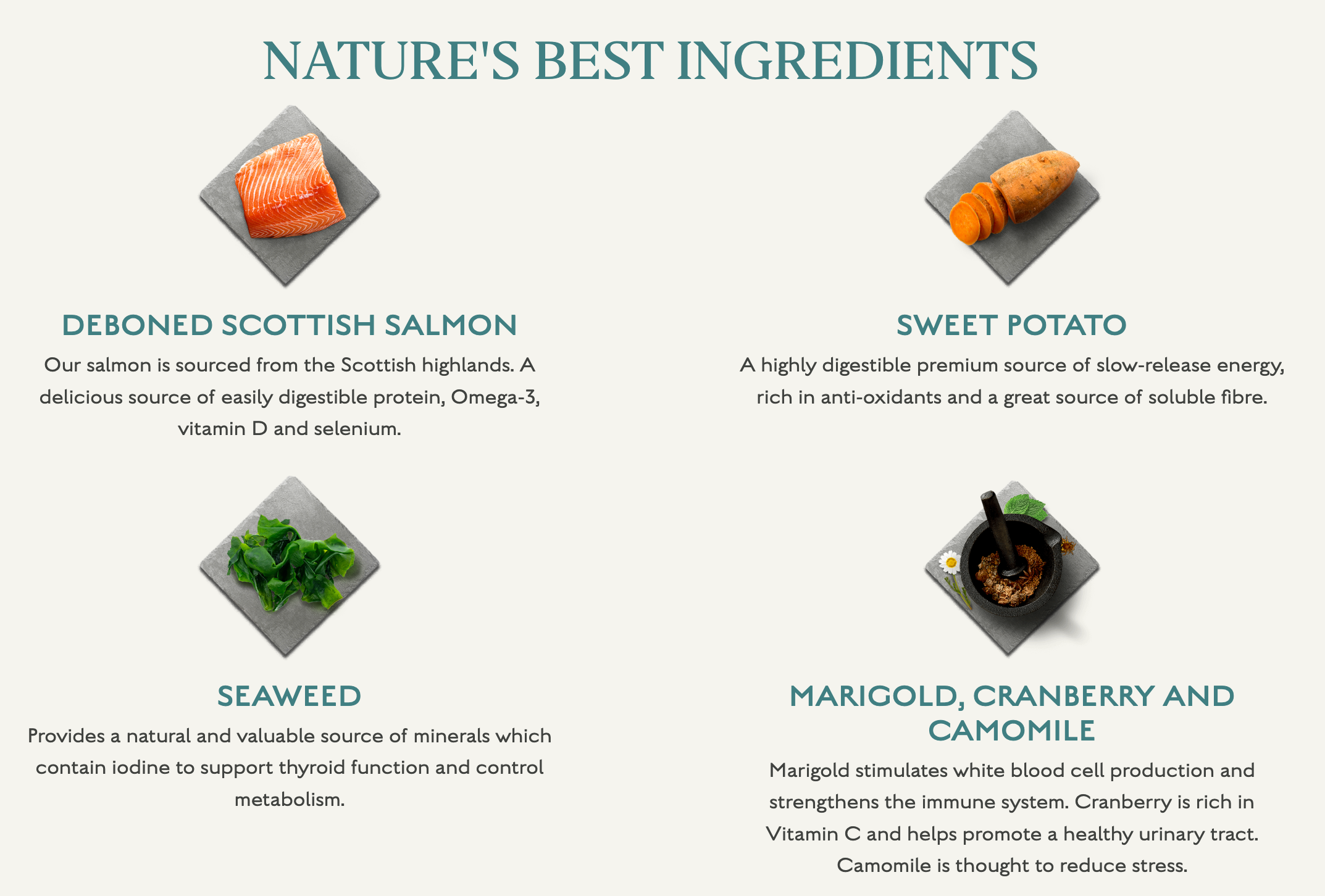 Canagan Dog Scottish Salmon For Puppies & Adults