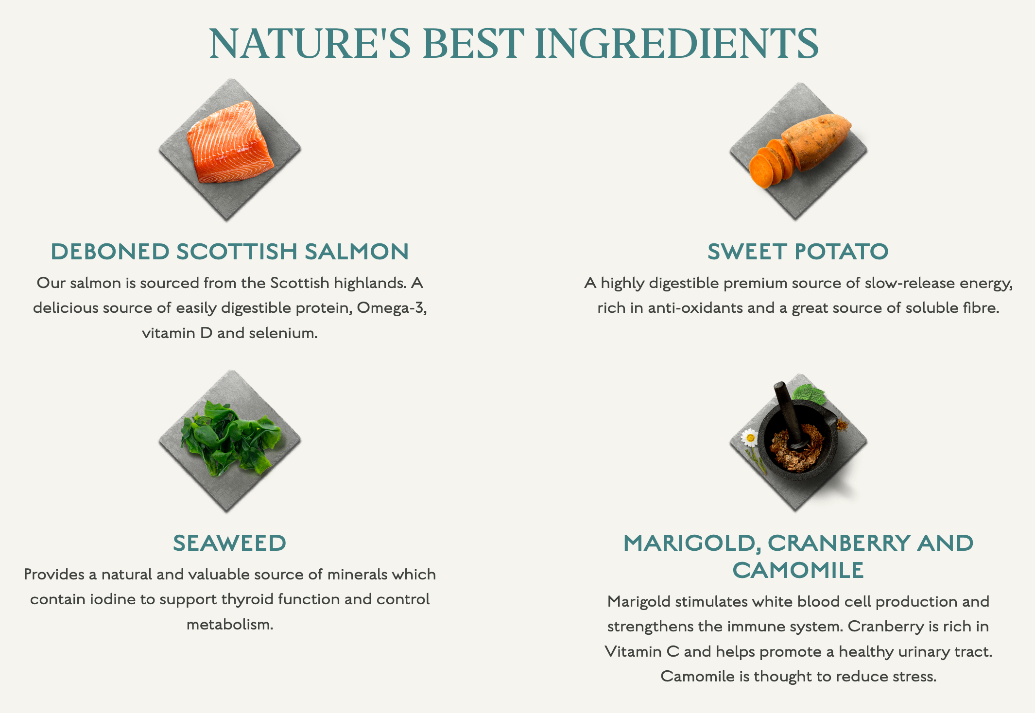 Canagan Dog Small Breed Salmon For Puppies & Adults