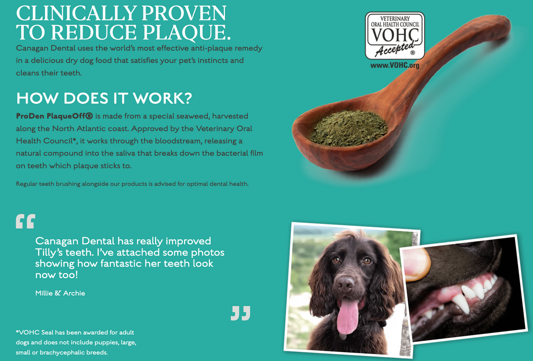 Canagan Dog Free Run Turkey Dental For Puppies & Adults 2kg