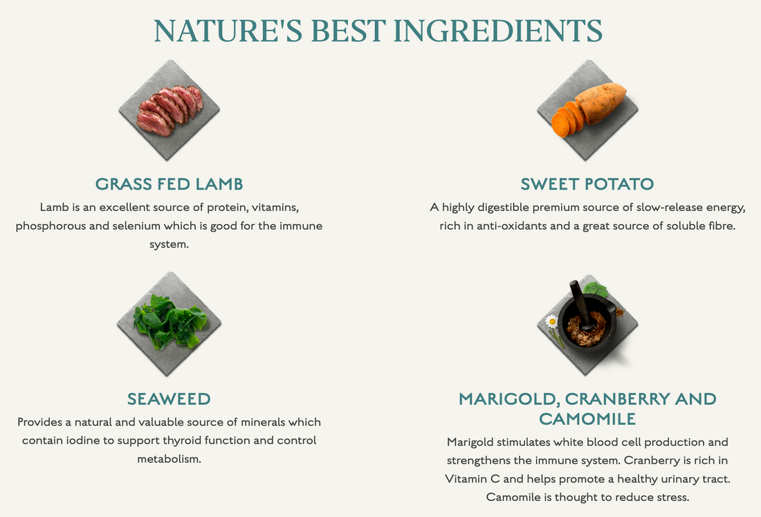 Canagan Dog Grass Fed Lamb For Puppies & Adults