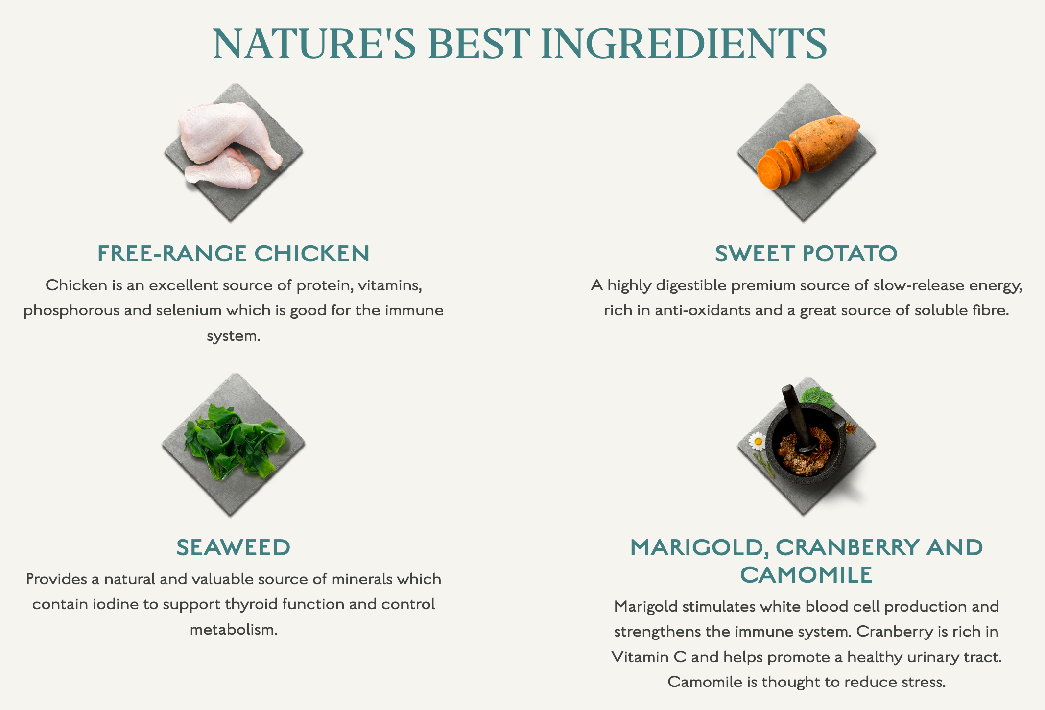Canagan Dog Light/Senior Free Range Chicken For Adults