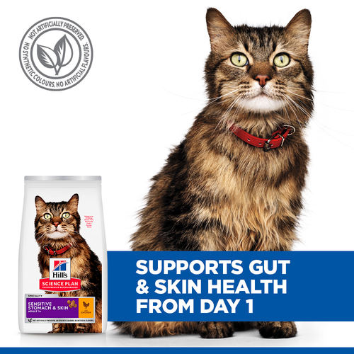 Hill's Science Plan Sensitive Stomach & Skin Adult Cat Chicken 1.5kg