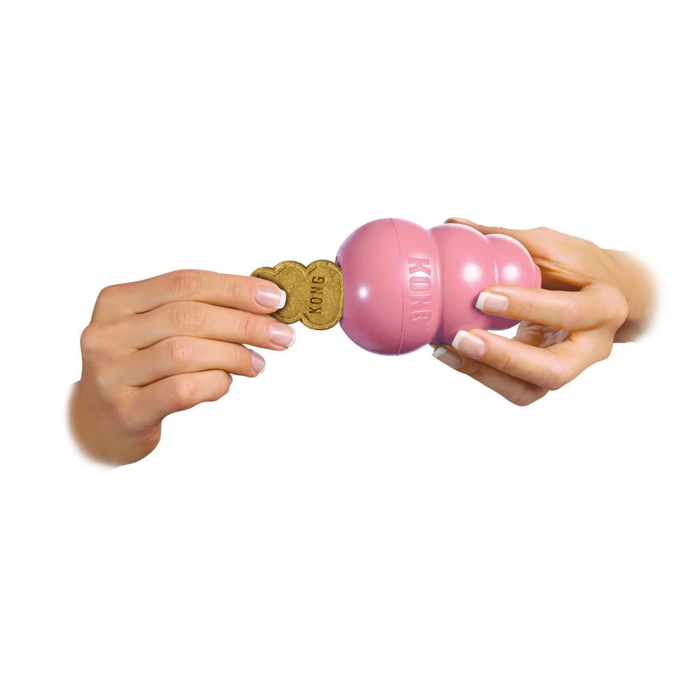 Kong Snacks All Natural Puppy Biscuits Small