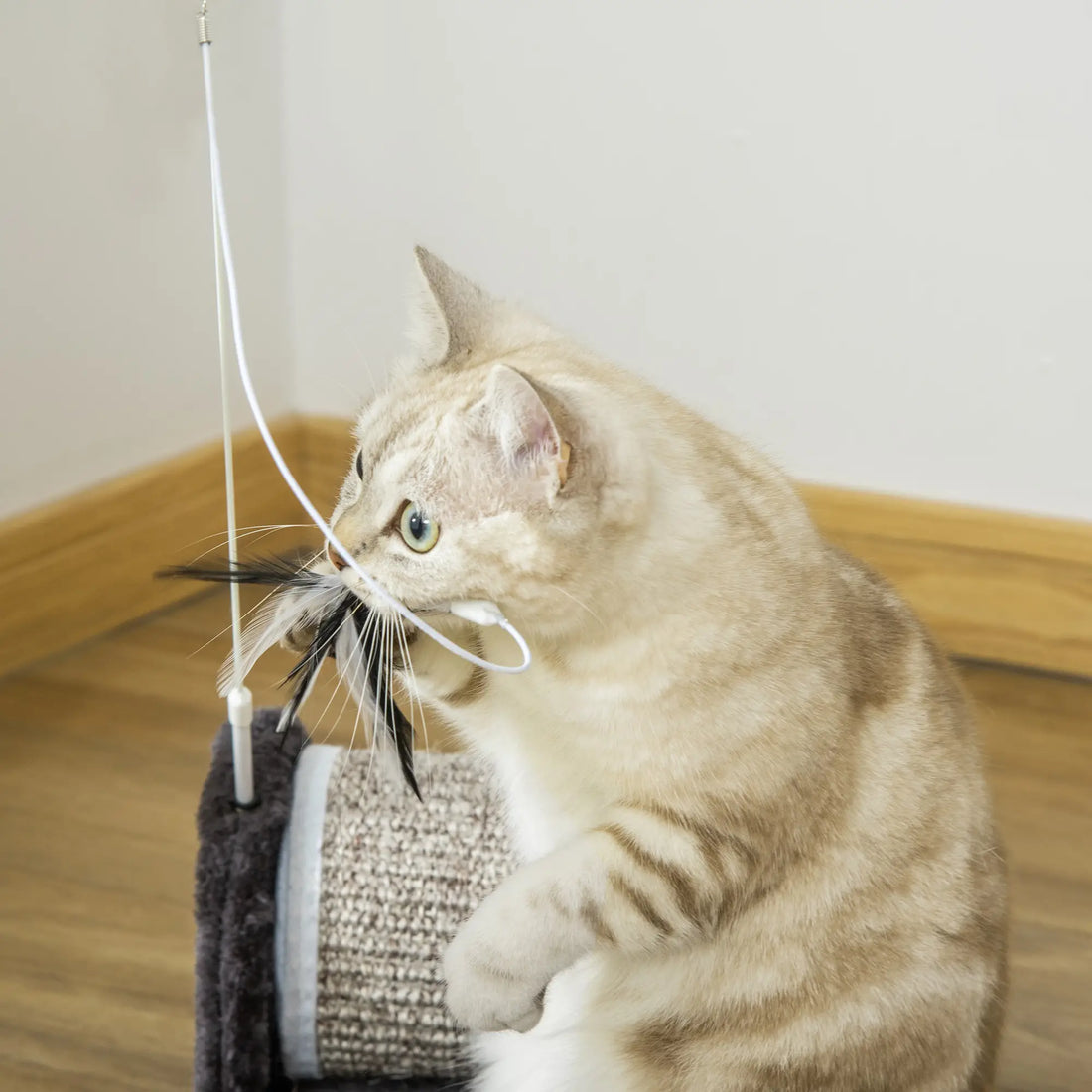 PawHut Cat Scratcher, Sisal Cat Scratching Board Mat Pad with Roller