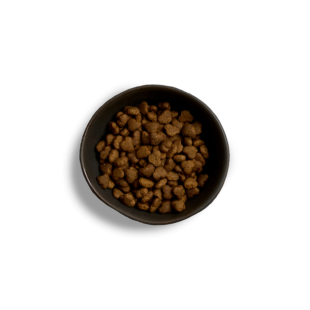 Canagan Puppy Free Range Chicken 2kg