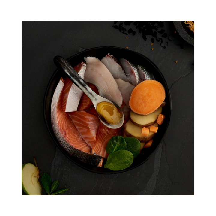 Canagan Cat Scottish Salmon For Kittens & Adults