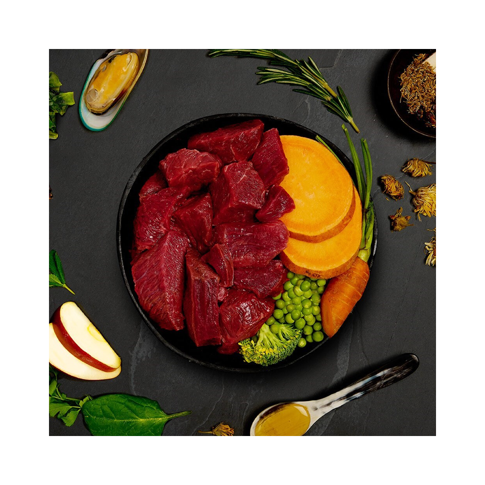 Canagan Dog Tin Beef Stew For Puppies & Adults