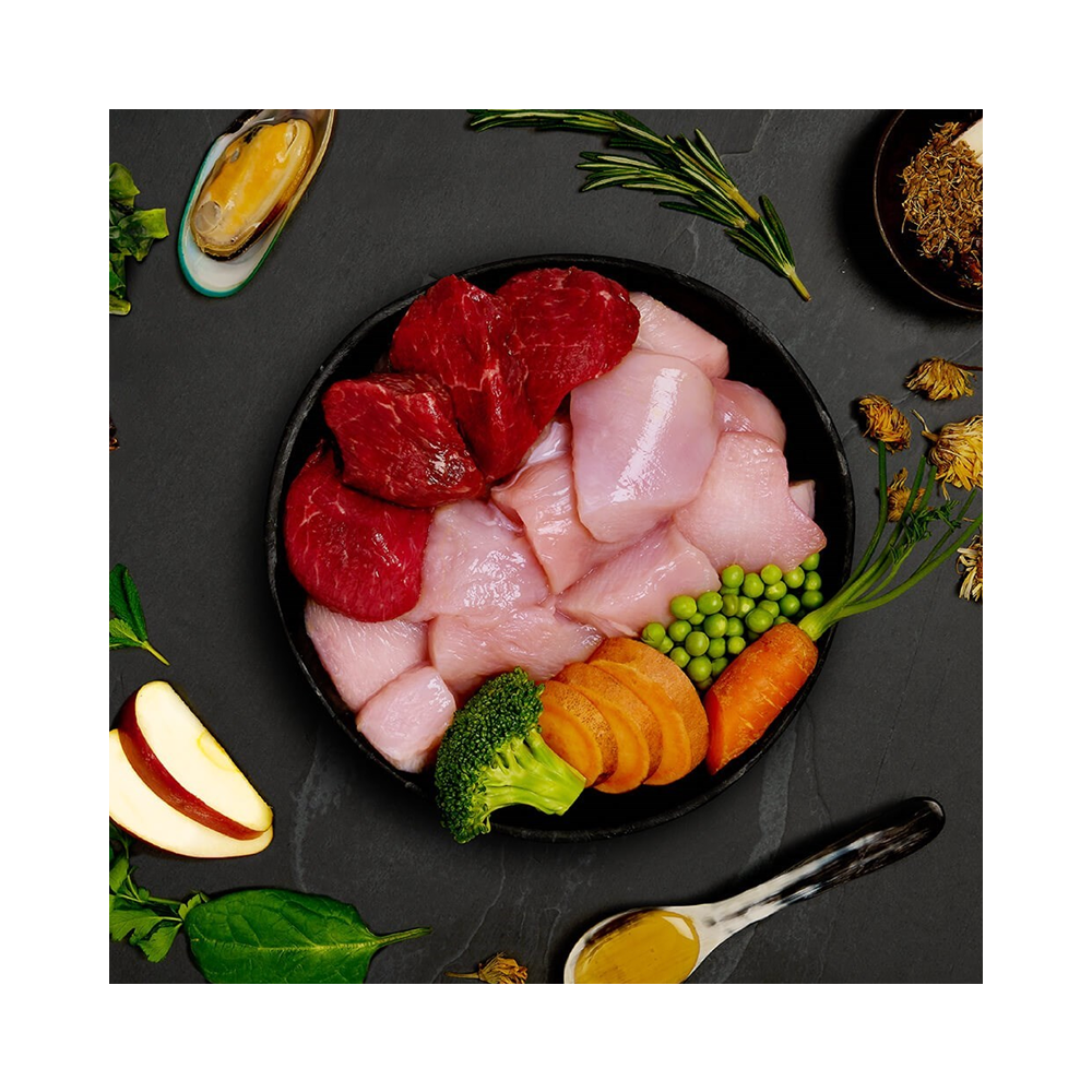 Canagan Dog Tin Chicken & Wild Boar Casserole For Puppies & Adults