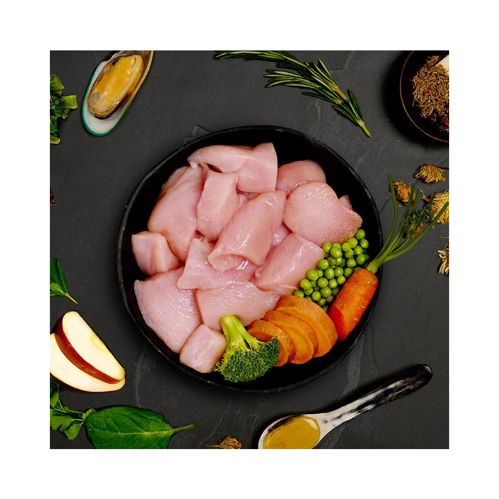 Canagan Dog Tin Chicken Hotpot For Puppies & Adults