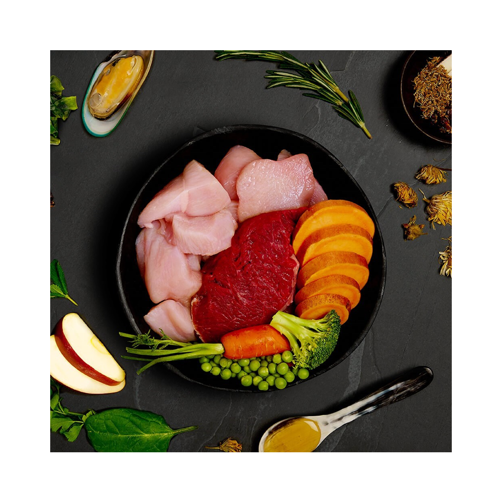 Canagan Dog Tin Puppy Feast 400g
