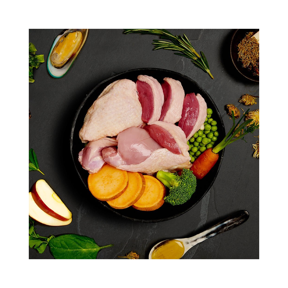 Canagan Dog Tin Turkey & Duck Dinner For Puppies & Adults