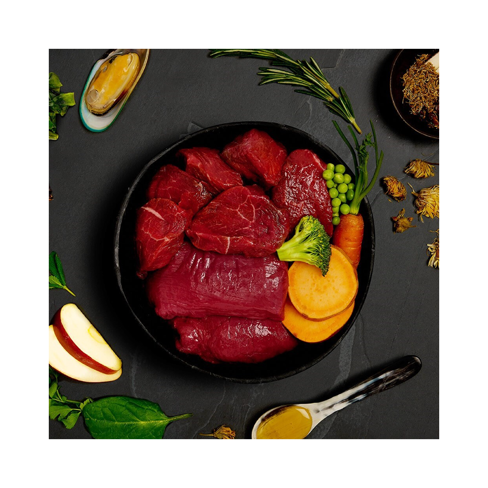 Canagan Dog Tin Venison & Wild Boar Stew For Puppies & Adults