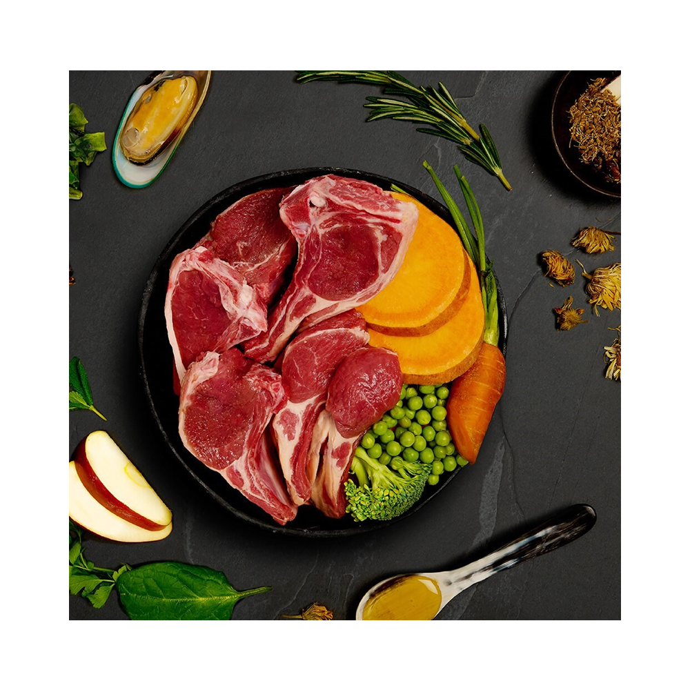 Canagan Dog Tin Lamb Casserole For Puppies & Adults