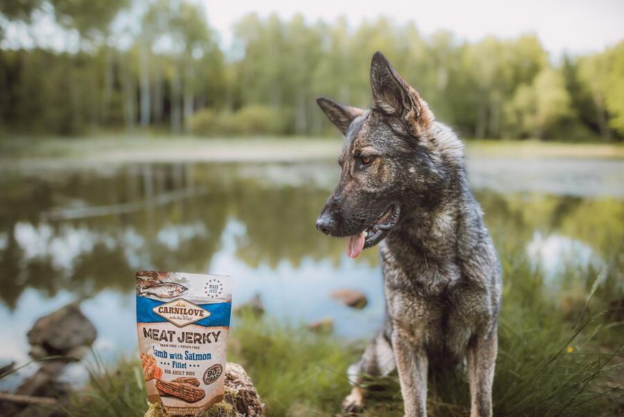 Carnilove Jerky Lamb With Salmon Fillet 100g
