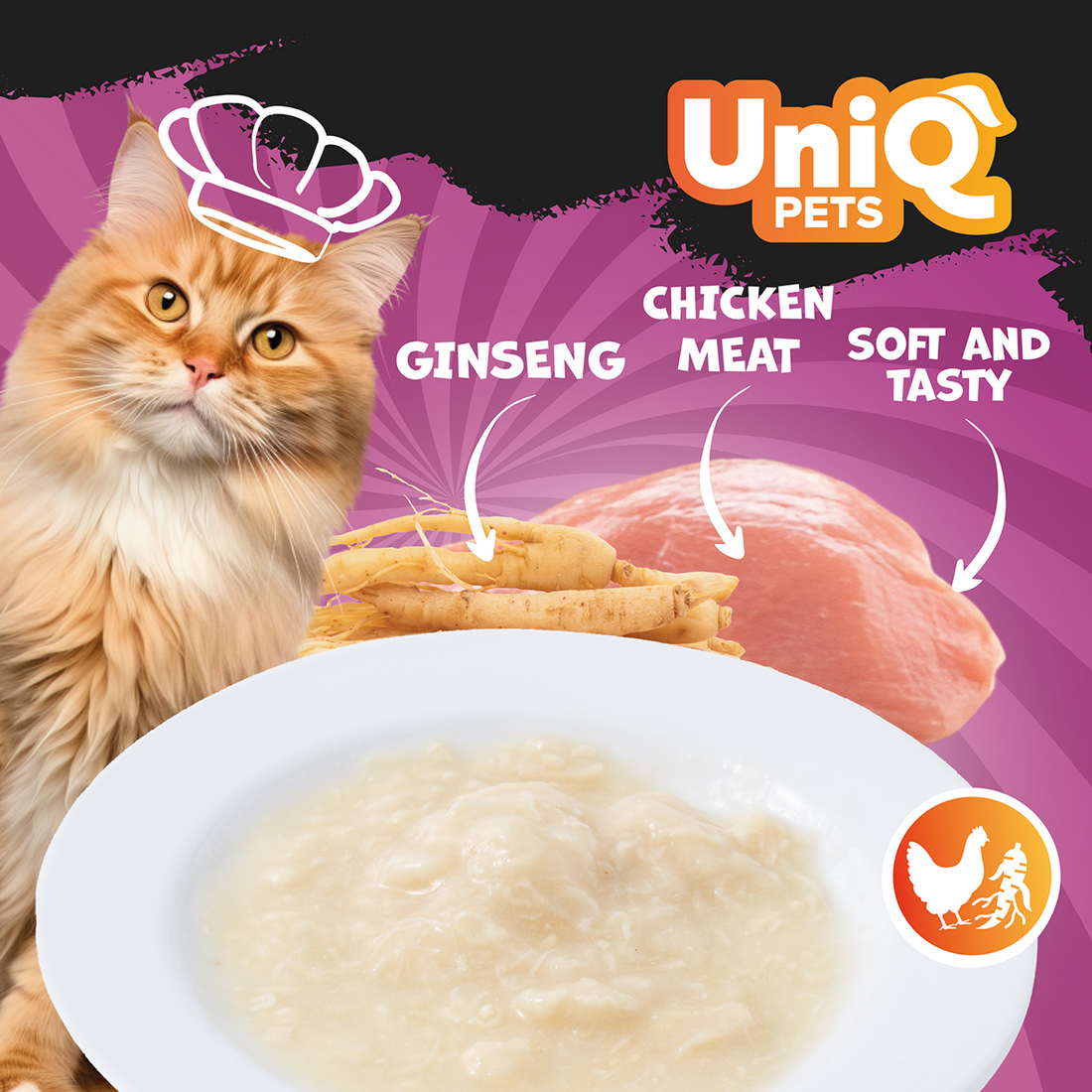 Uniq PETS Cat Wet Food Chicken & Ginseng Soup 30g