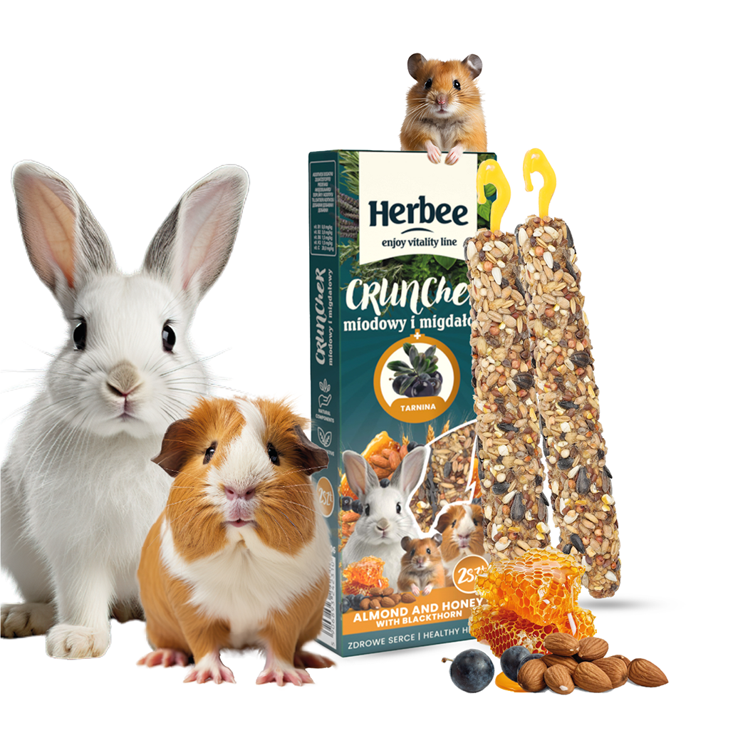 HERBEE Crunchers Forest Honey + Almond 115g