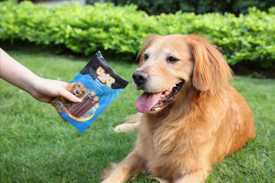 UNIQ PETS Dog Snacks Soft Beef Sticks 80g