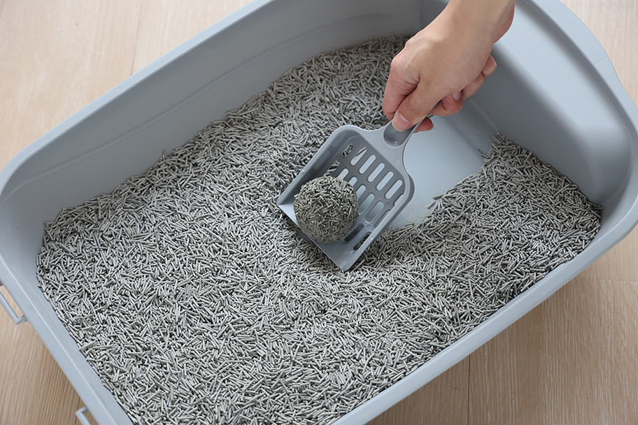 SNAPPY Tofu Biodegradable Cat Litter 2,5kg / 6L Carbon Active