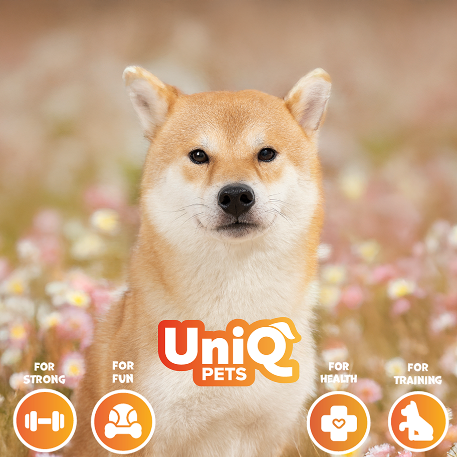 UNIQ PETS Dog Snacks Chicken Wraps Rawhide Sticks 250g