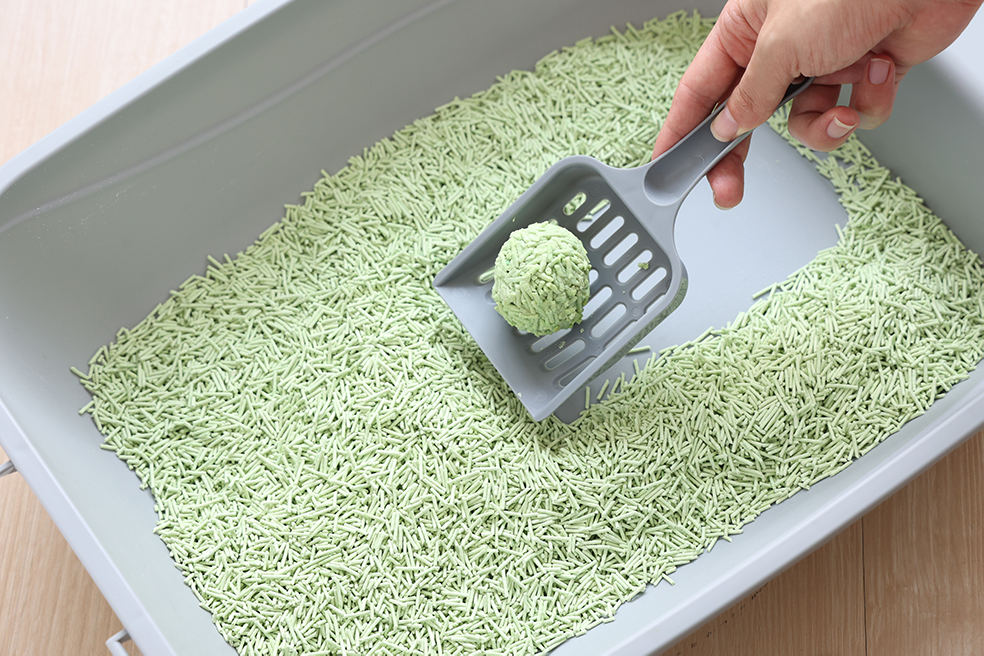 UNIQ PETS Tofu Biodegradable Cat Litter 2,5kg / 6L Green Tea
