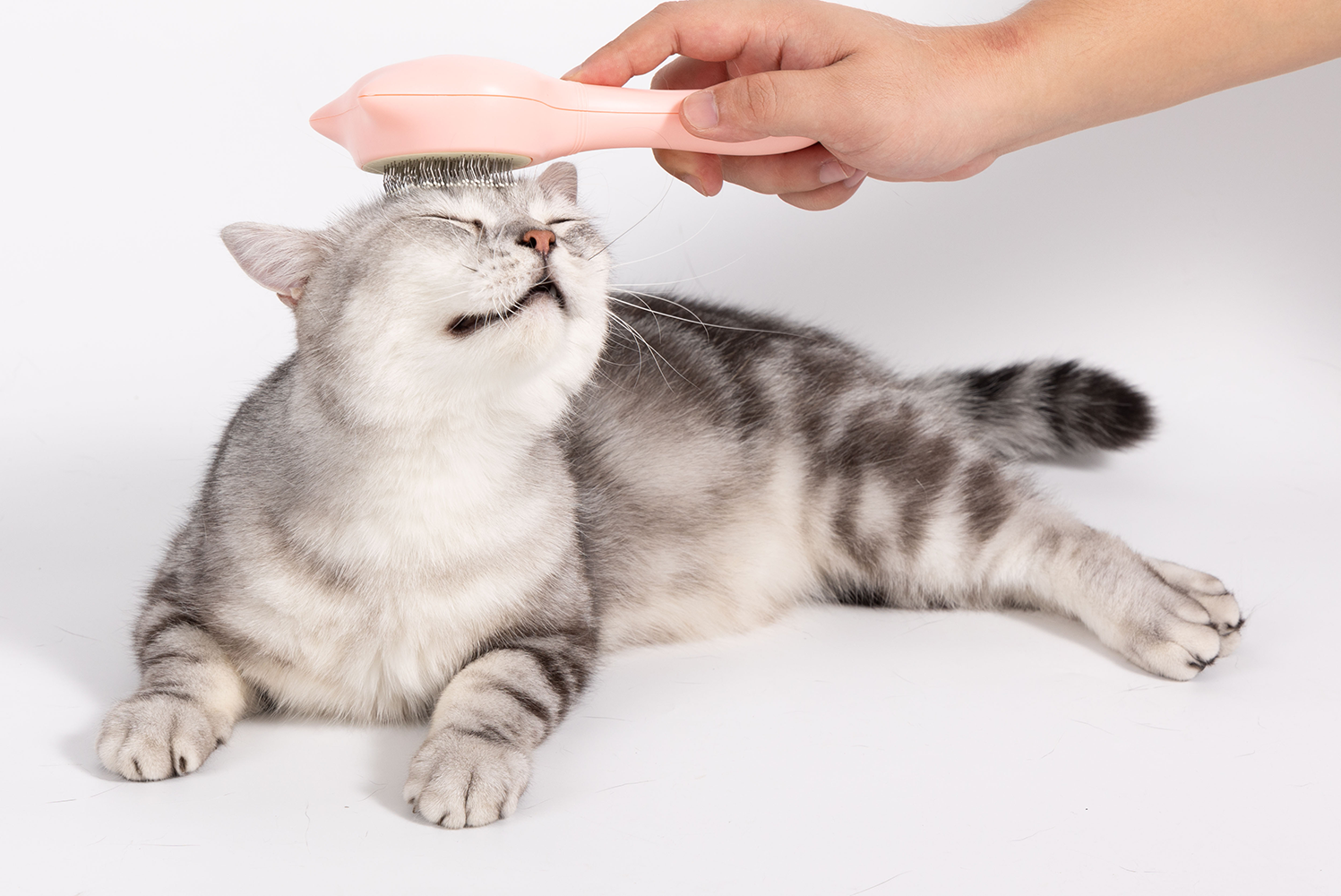 UNIQ PETS GROOMING BEAUTYCARE Cat-Shaped Comb Pink