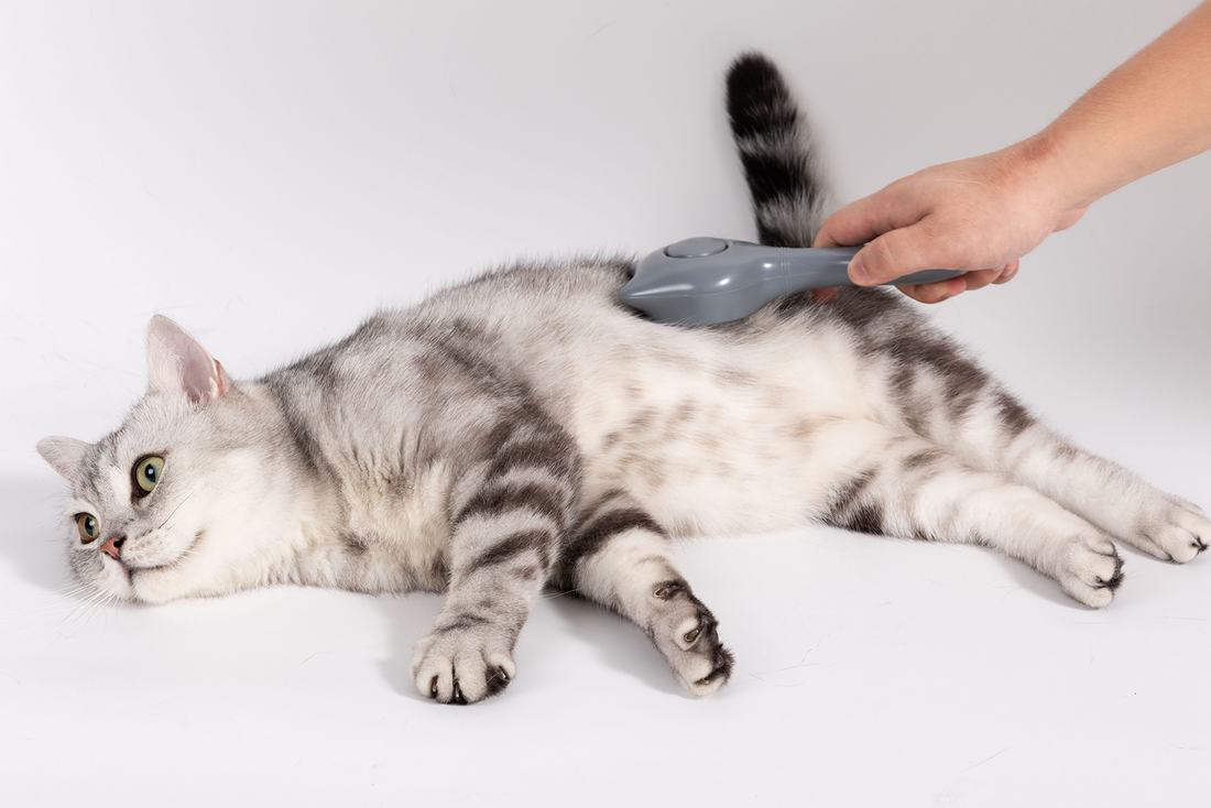 UNIQ PETS GROOMING BEAUTYCARE Cat-Shaped Comb Grey