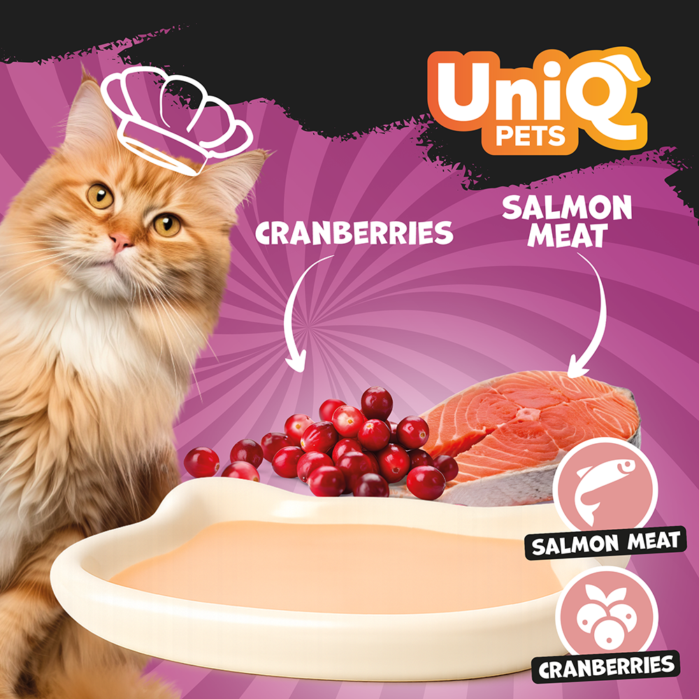 Uniq Pets Cat Delight Shake Salmon & Cranberries 60g