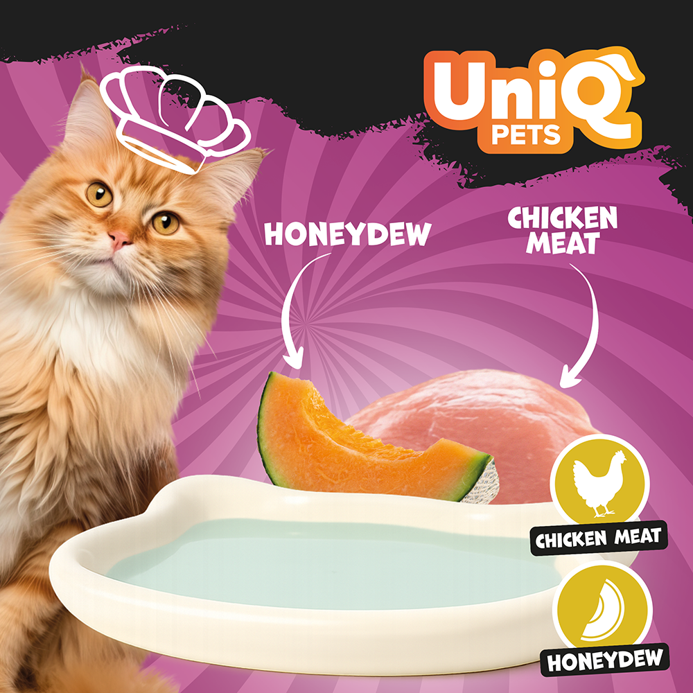 Uniq Pets Cat Delight Shake Chicken & Honeydew 60g