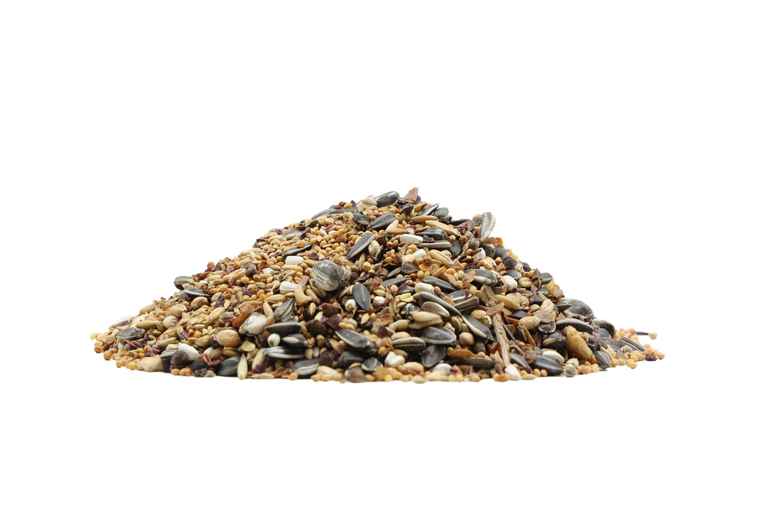 SING&SONG WILDWINGS FOOD For Medium Parrots 500g
